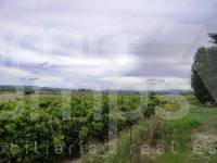 Te koop - Landhuis - Albaida