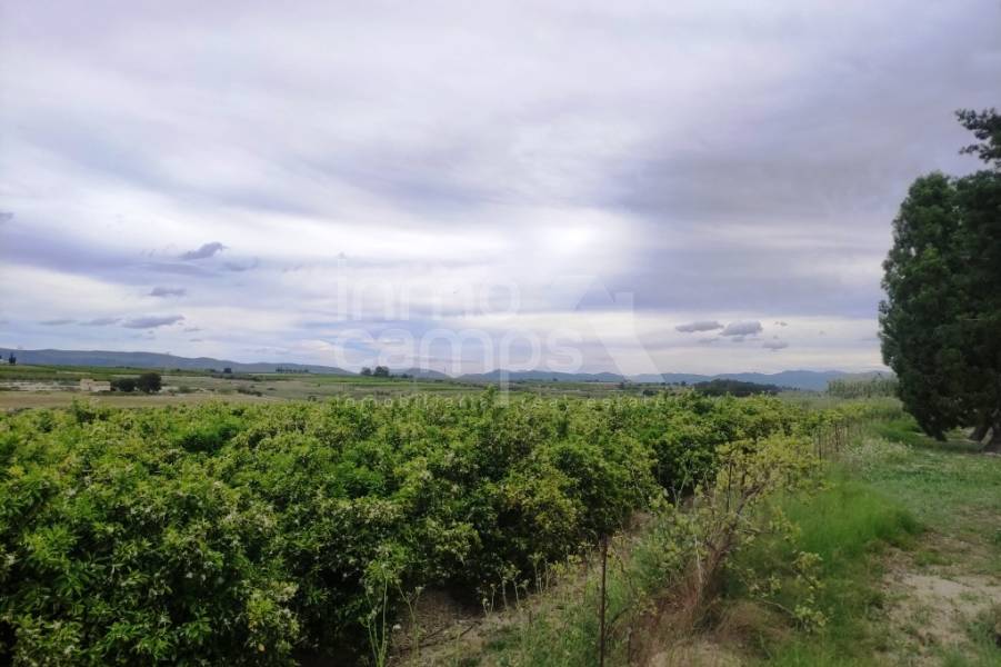 Te koop - Landhuis - Albaida