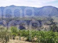 Venta - Casa de Campo - Gorga