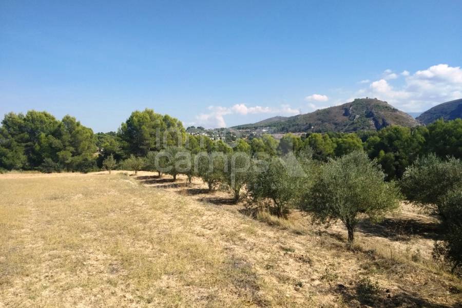 Te koop - Finca - Ontinyent