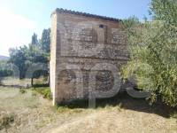 Te koop - Finca - Ontinyent