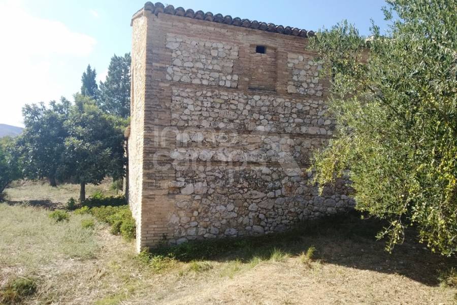 Te koop - Finca - Ontinyent