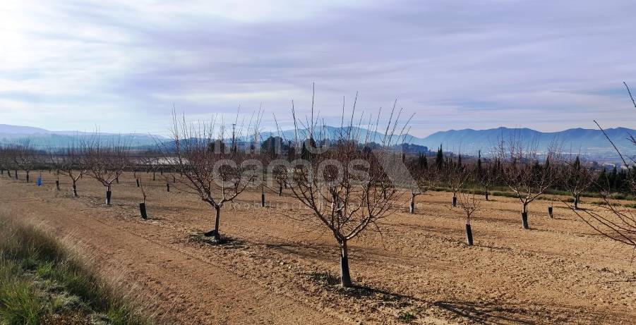 Te koop - Finca - Albaida