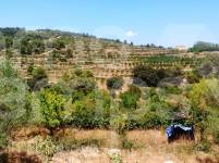 Venta - Finca - Penáguila