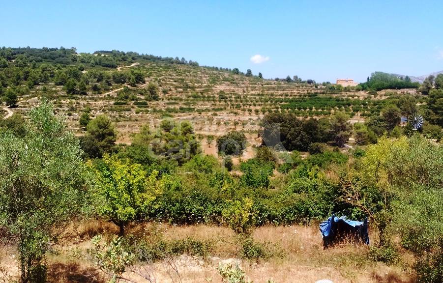 Venta - Finca - Penáguila