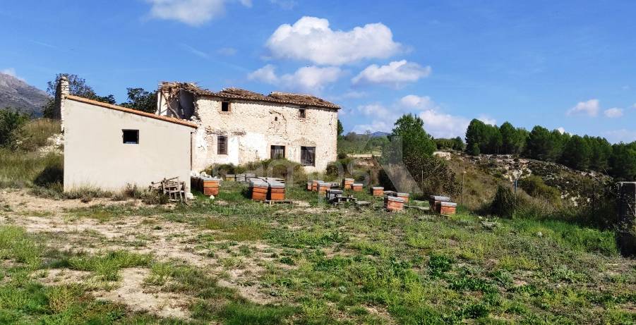 Venta - Finca - Alcocer de Planes