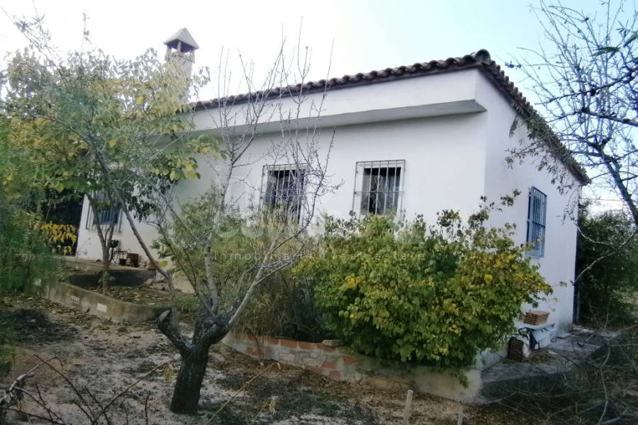 Te koop - Landhuis - Ontinyent