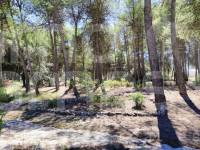 Venta - Casa de Campo - Alcoy