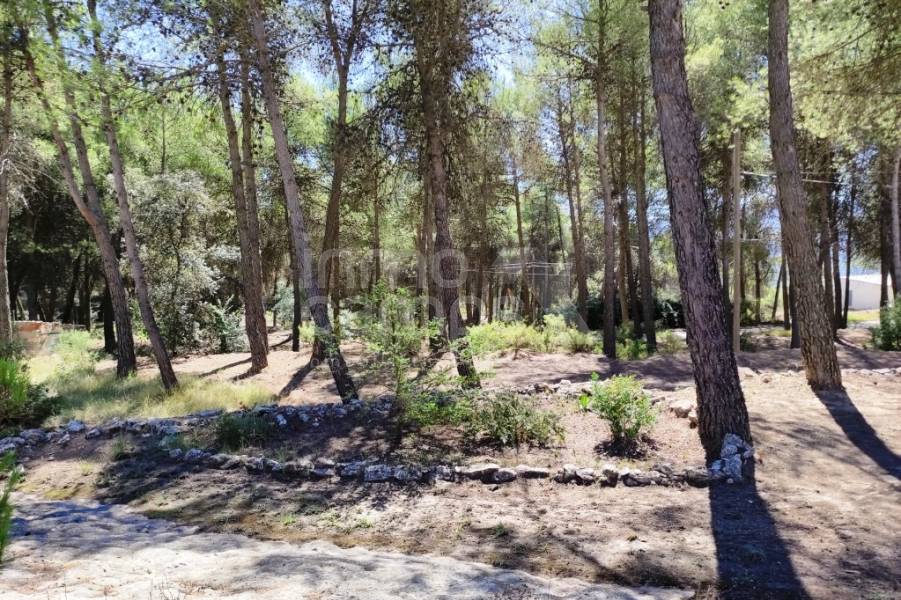 Venta - Casa de Campo - Alcoy