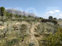 Venta - Casa de Campo - Muro de Alcoy