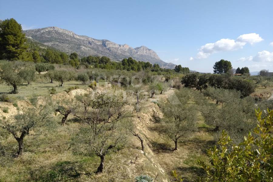 Venta - Casa de Campo - Muro de Alcoy