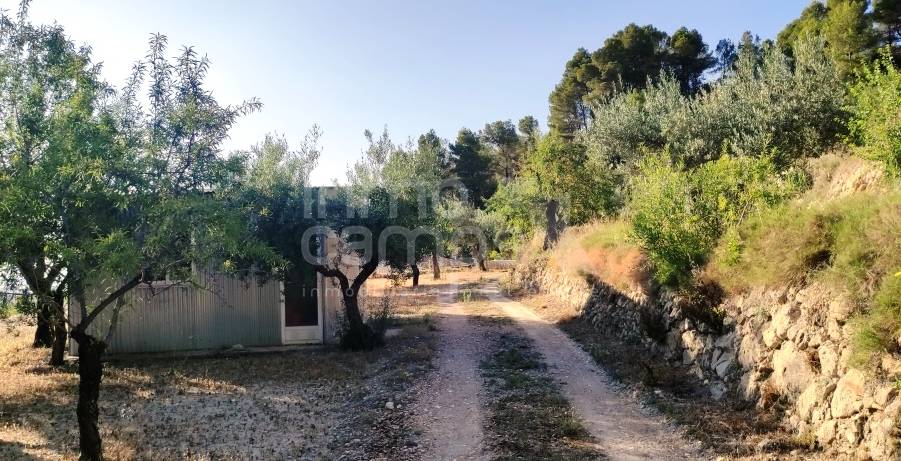 Te koop - Landhuis - Benasau