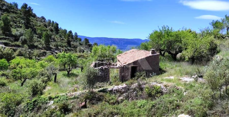 Venta - Finca - Benasau