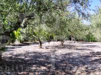 For sale - Country House - Cocentaina