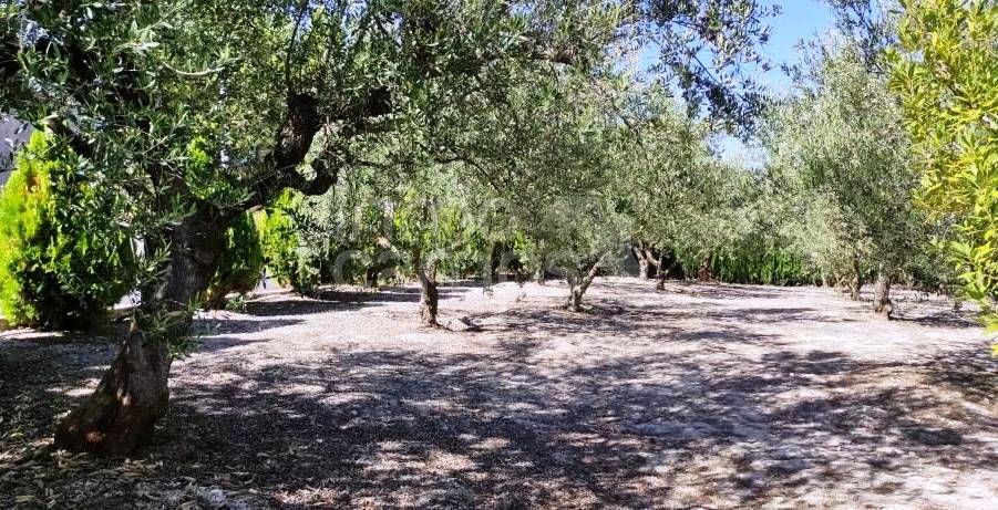 For sale - Country House - Cocentaina