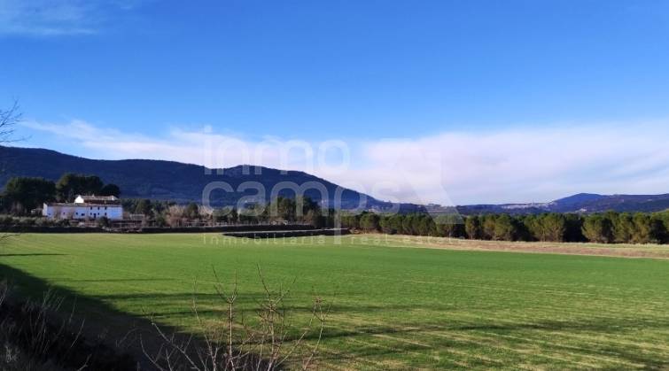 Rustic Land - For sale - Alfafara - Alfafara