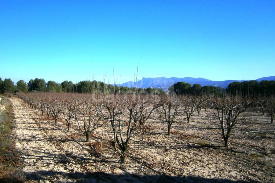 Venta - Casa de Campo - Agullent