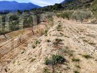 For sale - Country House - Gaianes