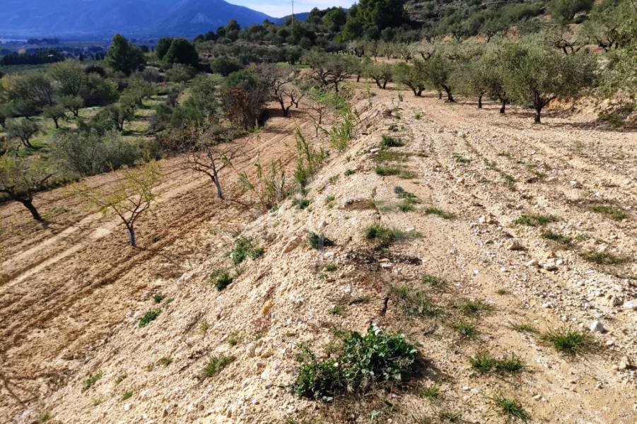 For sale - Country House - Gaianes