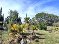 Venta - Casa de Campo - Muro de Alcoy