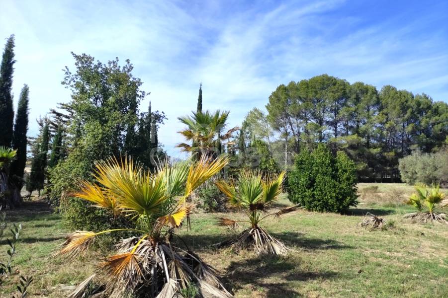 Venta - Casa de Campo - Muro de Alcoy