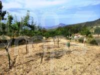 Venta - Casa de Campo - Penáguila