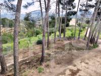 Venta - Finca - Cocentaina