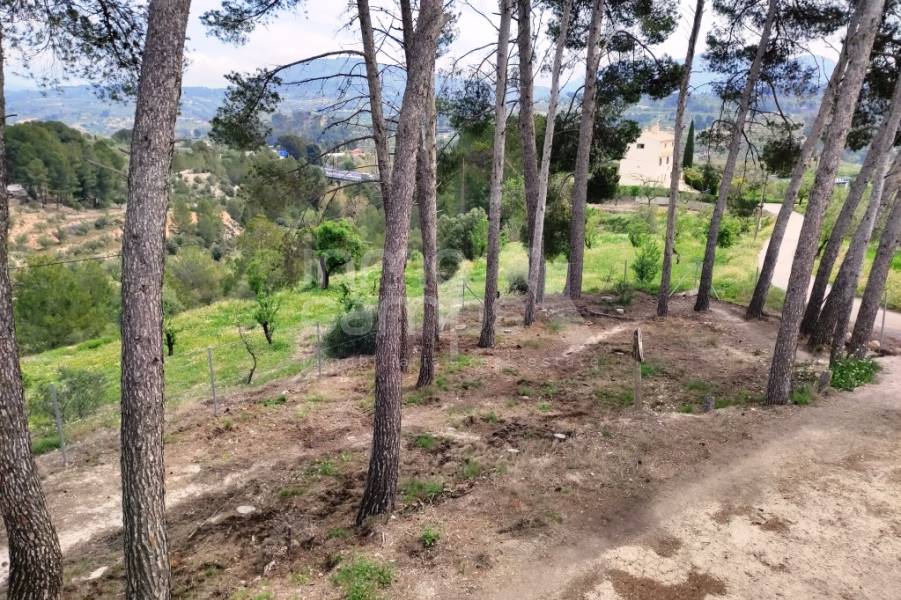 Venta - Finca - Cocentaina