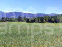 Venta - Parcela Rústica - Alfafara