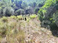 Venta - Casa de Campo - Villalonga