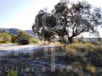 For sale - Finca - Ontinyent
