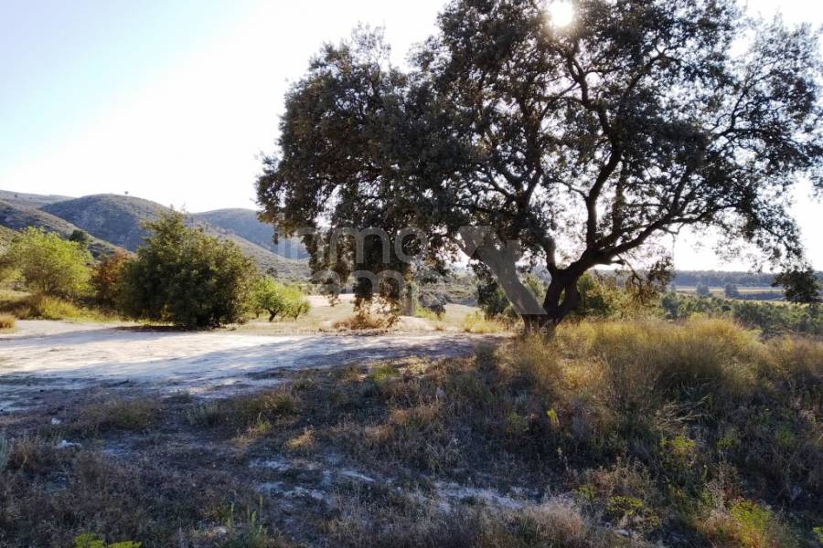 For sale - Finca - Ontinyent