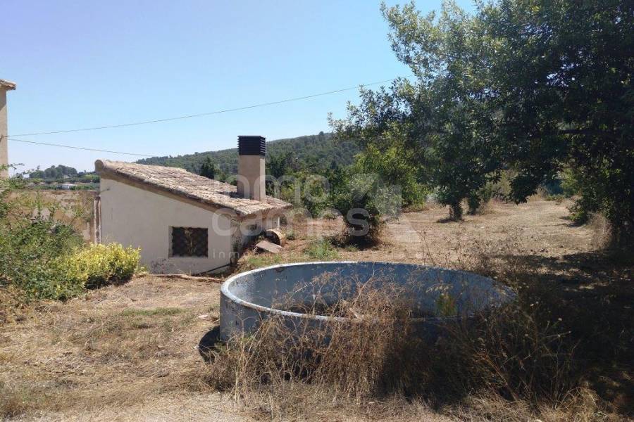 Te koop - Finca - Ontinyent