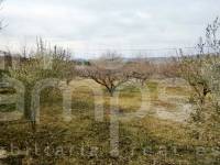 Venta - Casa de Campo - Ontinyent