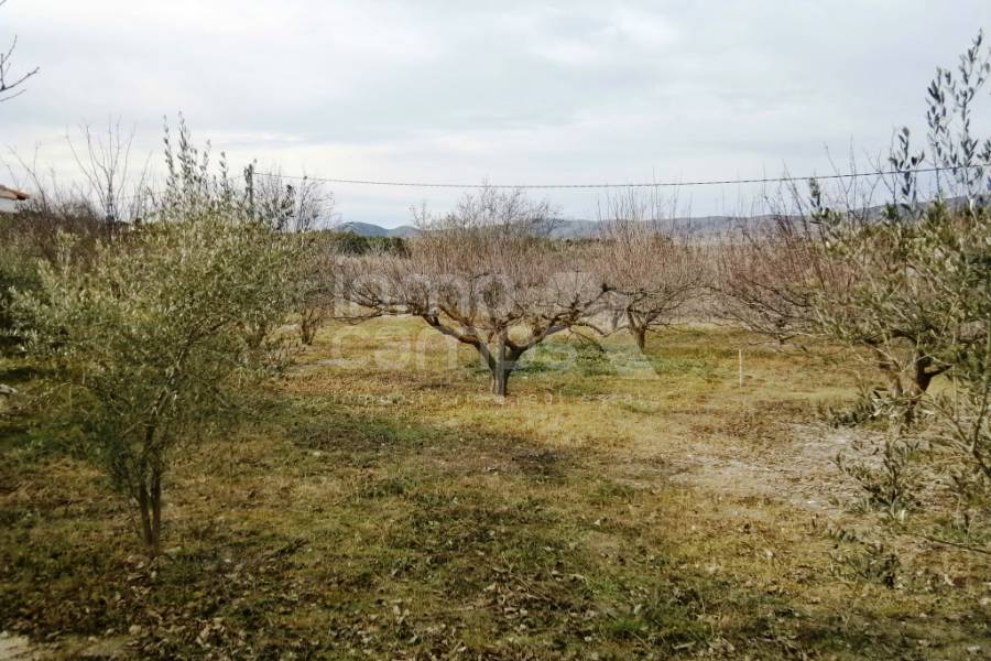 Venta - Casa de Campo - Ontinyent