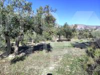 Te koop - Landhuis - Benilloba