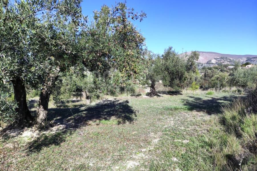 Te koop - Landhuis - Benilloba