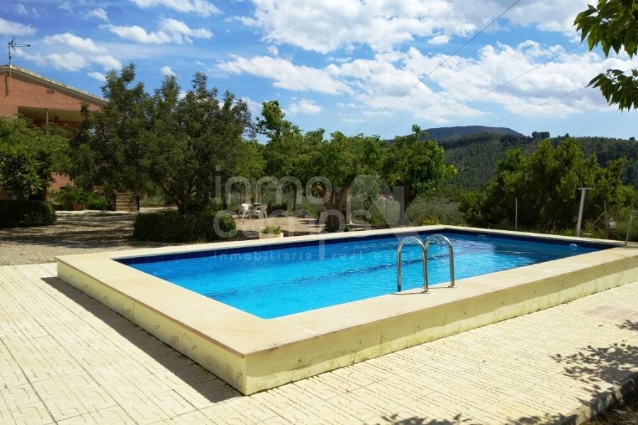 Te koop - Finca - Cocentaina