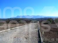 For sale - Finca - Albaida