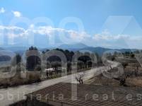 Venta - Finca - Millena