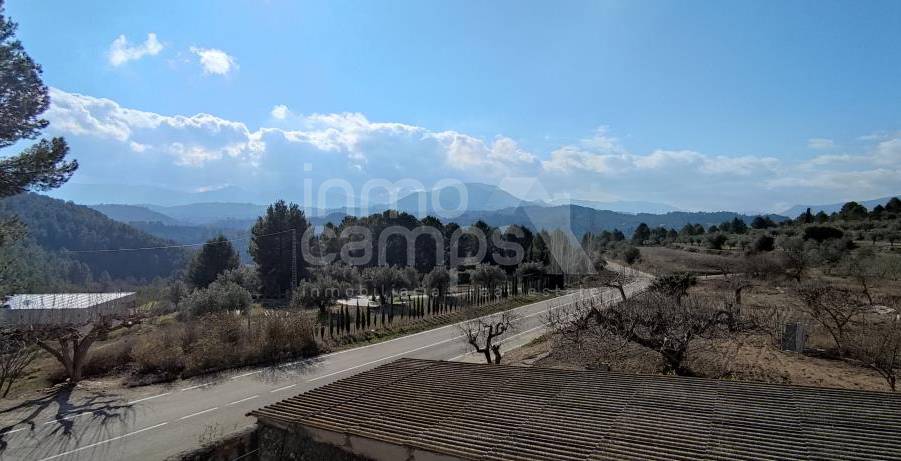 Venta - Finca - Millena