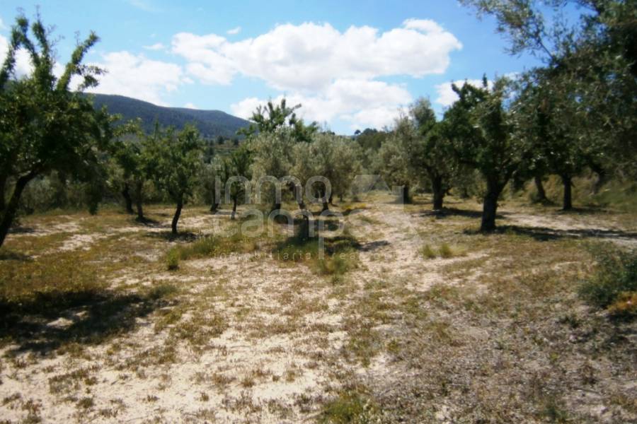 Venta - Casa de Campo - Penáguila