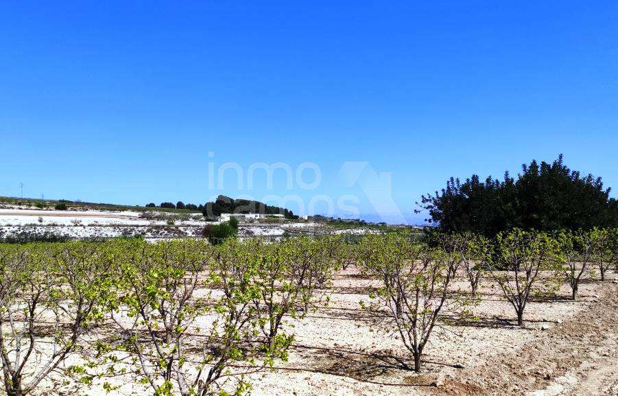 Venta - Casa de Campo - Agullent