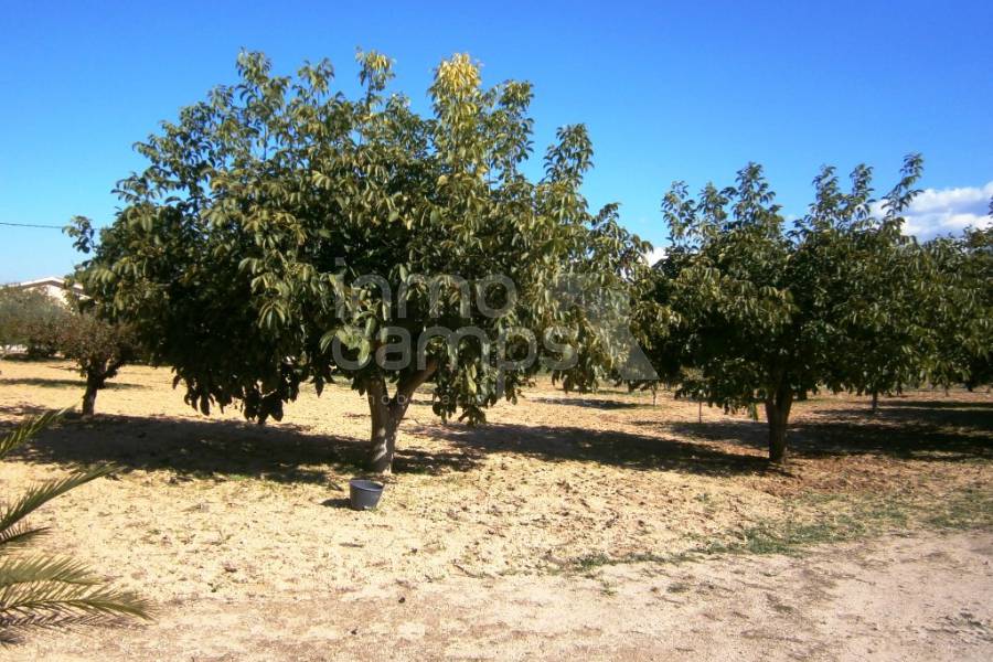 For sale - Country House - Ontinyent