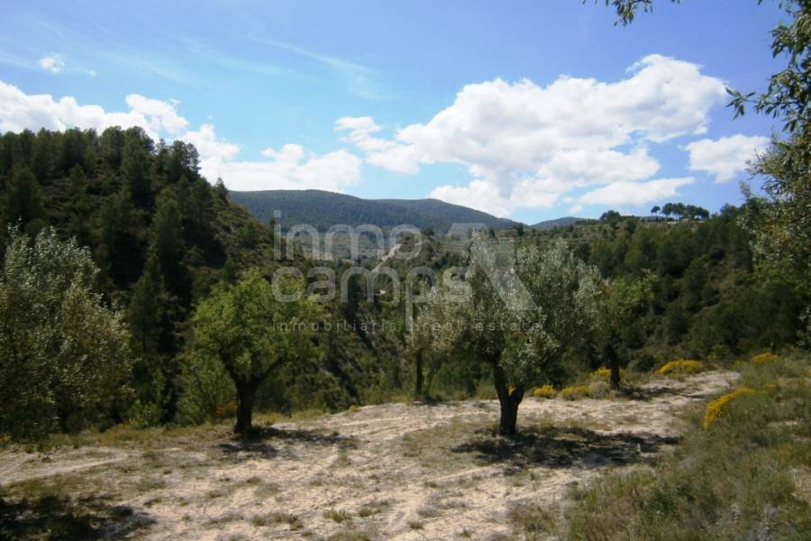 Venta - Casa de Campo - Penáguila