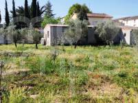 Venta - Finca - Muro de Alcoy