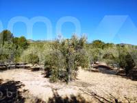 Venta - Casa de Campo - Ontinyent