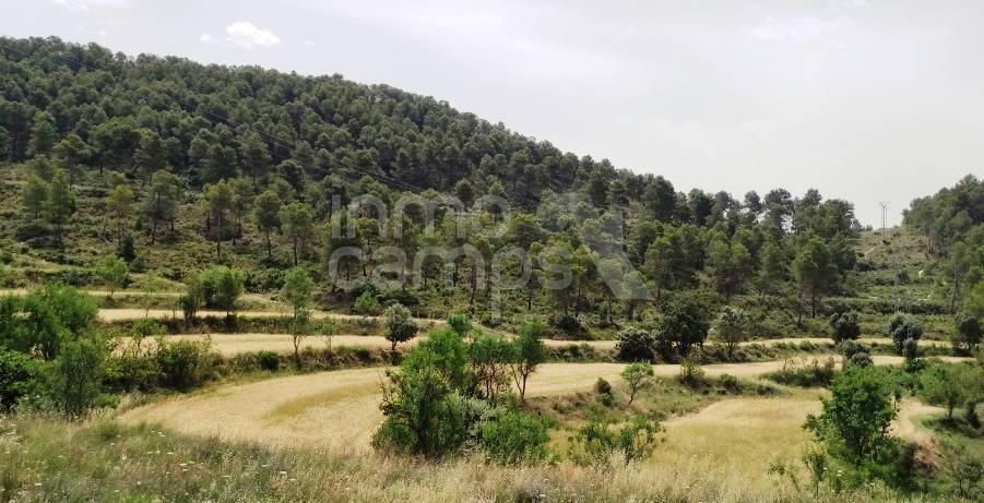 Venta - Finca - Alcoy