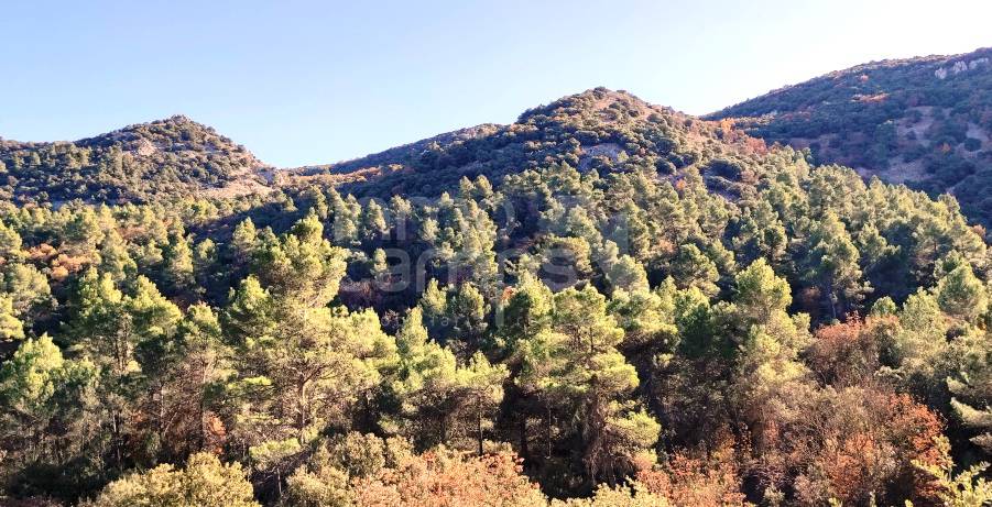 For sale - Finca - Alcoy