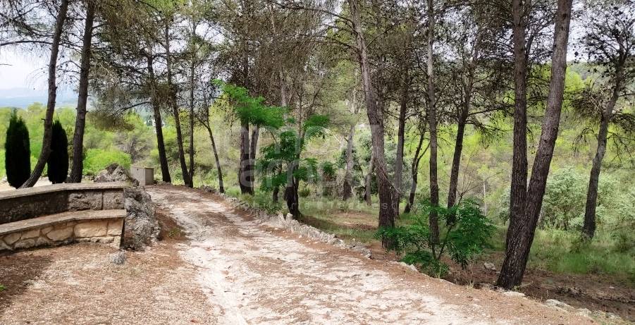 Venta - Finca - Alcoy